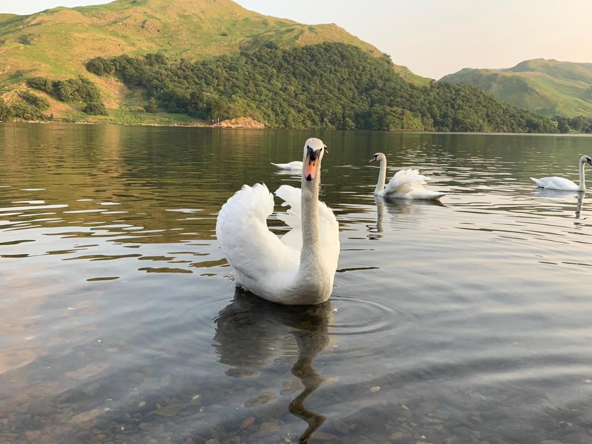 The Ullswater View Guest House Watermillock Exterior photo